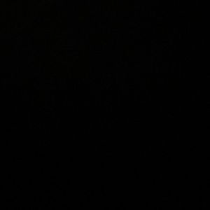 Meet your Posher, Hayden